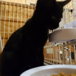 くぅちゃん (3).JPG